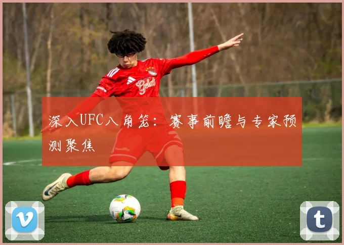 深入UFC八角笼：赛事前瞻与专家预测聚焦