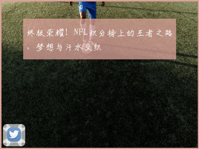 终极荣耀!NFL积分榜上的王者之路,梦想与汗水交织