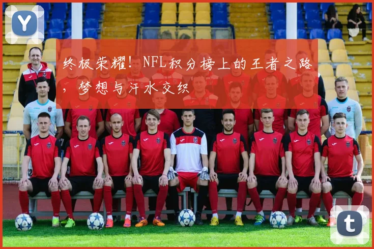 终极荣耀！NFL积分榜上的王者之路，梦想与汗水交织