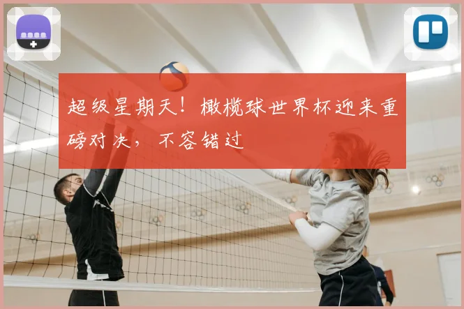 超级星期天!橄榄球世界杯迎来重磅对决,不容错过