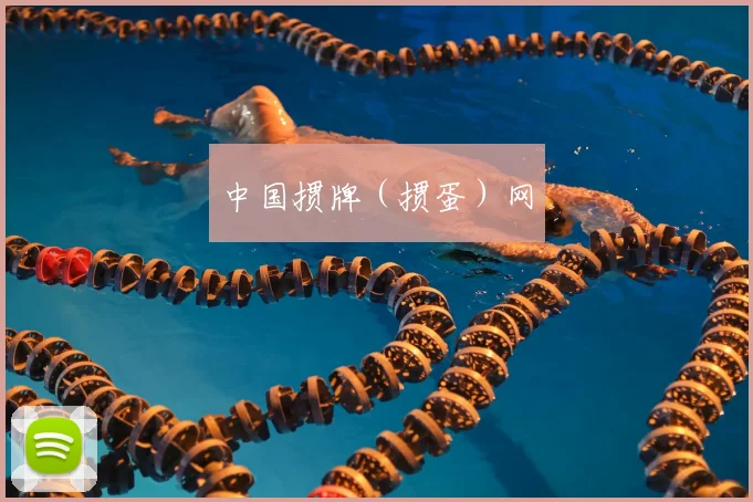 中国掼牌(掼蛋)网